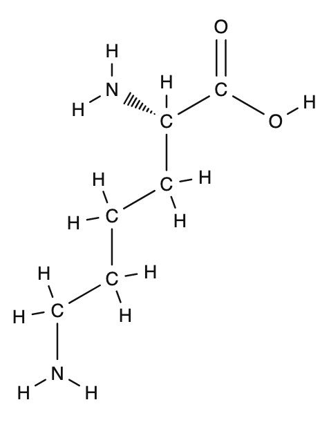 Lysine (structural formula).png